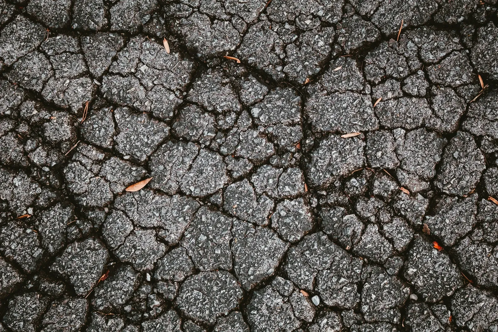 A close-up of cracked, weathered asphalt pavement with scattered fallen leaves